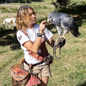 Appartamento L'aquila E L'ulivo, Montepulciano Stazione